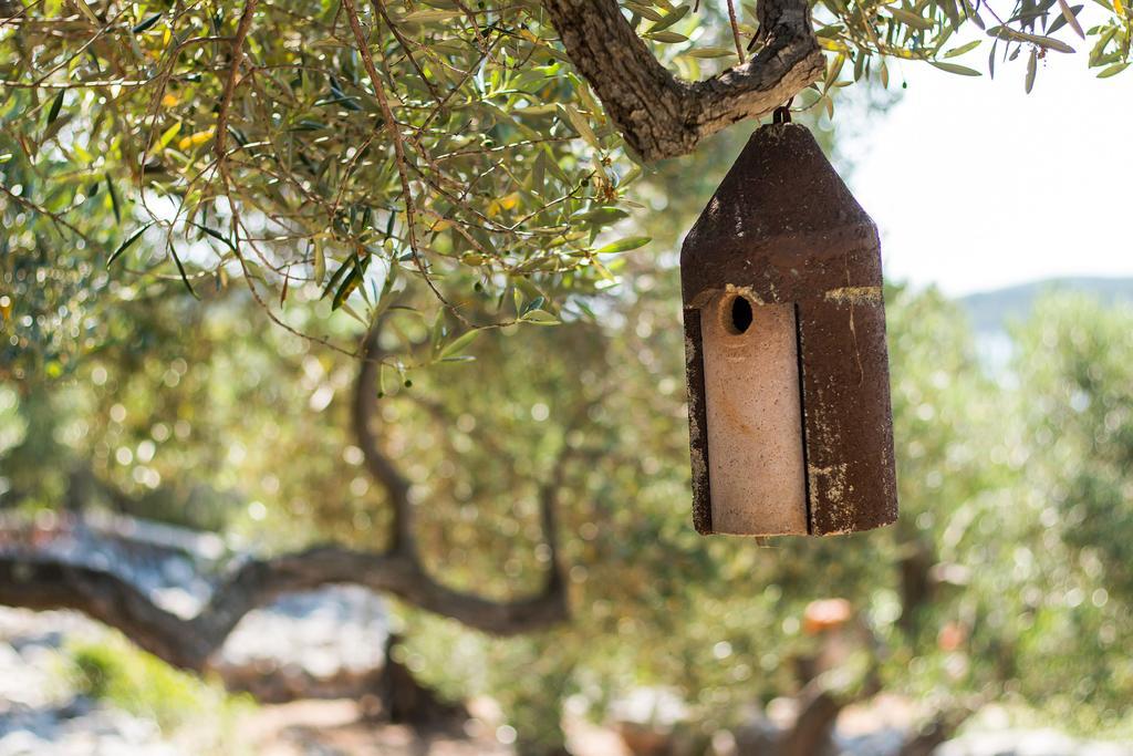 Holiday Home Nikol Veli Lošinj 外观 照片